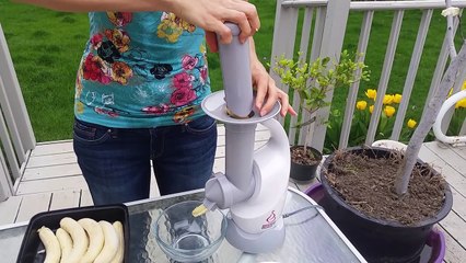 2 Ingredient Raw Vegan Blueberry Banana Nice Cream Made with the Dessert Bullet