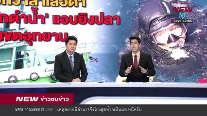 โพสต์แฉนักดำน้ำแอบยิงปลาในเขตอุทยาน | 28 มี.ค.61 | NEW18