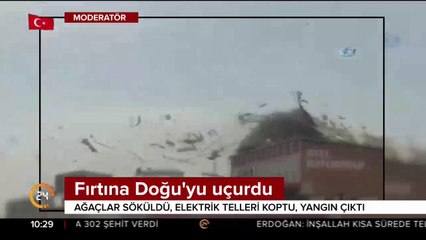 Ağaçlar söküldü