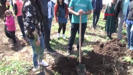 Diyarbakır'da Uçurtma Şenliği