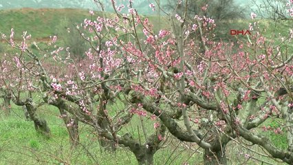 Antalya-500 Konutun İhtiyacı Kadar Elektrik Üreten Stat