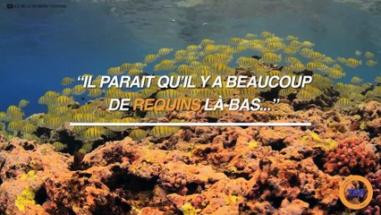 10 trucs (agaçant) que les Réunionnais vivent en arrivant en métropole
