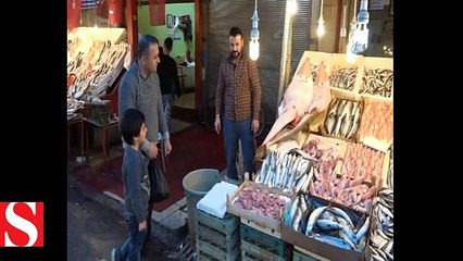 İnsan yüzlü balıklar görenleri şaşkına çevirdi