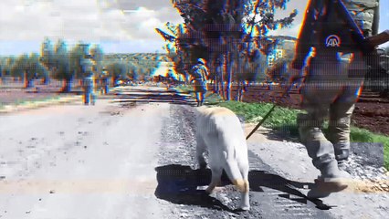 Afrin'deki patlayıcıları "Leylak" buluyor, "METİ" imha ediyor