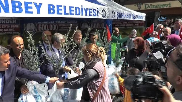 Gaziantep'te 600 bin zeytin fidanı dağıtıldı