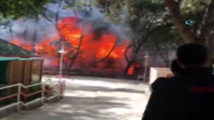 Antalya Atatürk Parkı'nda korkutan yangın