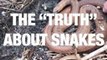 The ”Truth“ About Snakes