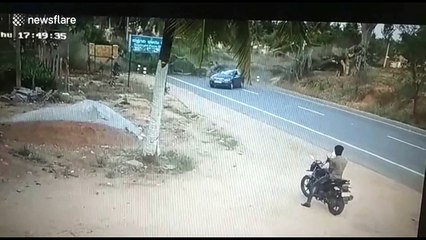 Four men miraculously escape after tree falls on car