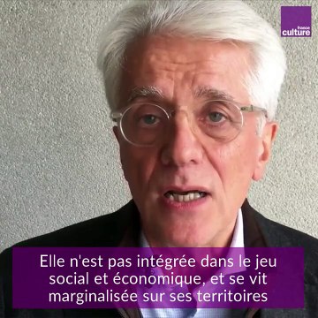 Il faut que ça change ! : les citoyens exclus du vote, par Pascal Perrineau