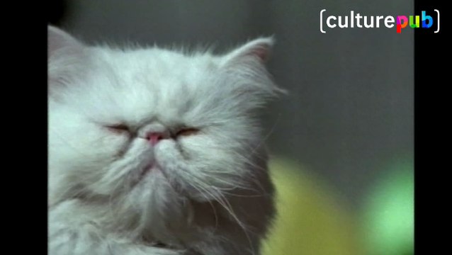 House of Ads - Mauvaises odeurs