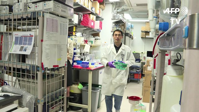 العلاج المناعي يفتح آفاقا جديدة للشفاء من الأمراض السرطانية