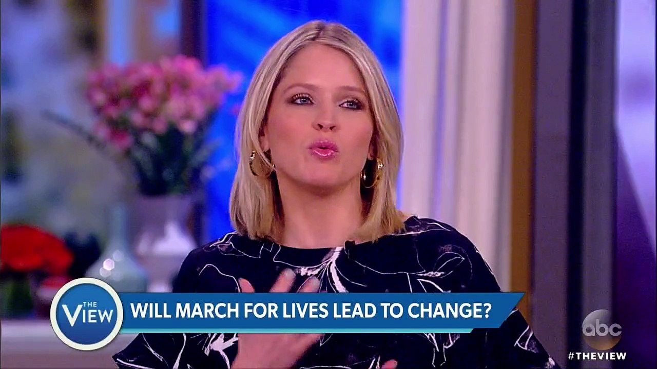 Meghan McCain blasts Parkland student David Hogg for incendiary rhetoric that attacks the NRA