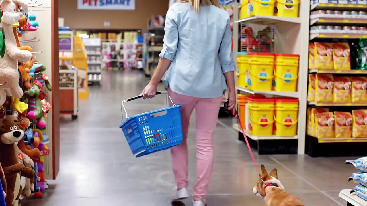 The Best 5 Most Funny Grumpy Cat Commercials