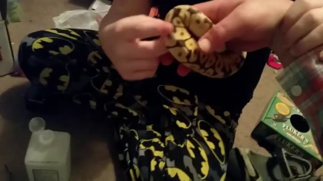 Un python ne veut pas lacher le doigt de cette femme qu'il vient de mordre