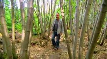 Grand Designs S09e13 The Woodsmans Cottage Sussex Revisited
