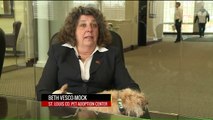 Pet Adoption Manager Accused of Making Racist Comments to Employees