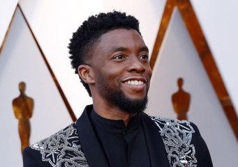 'Black Panther' Now the Highest-Grossing Superhero Film in the US