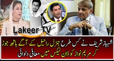 Role of Shahbaz Sharif in Dawn Leaks is Revealed