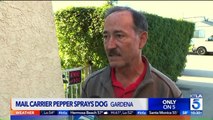 Man Upset After Mail Carrier Pepper Sprays Dog