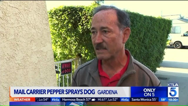 Man Upset After Mail Carrier Pepper Sprays Dog