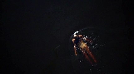 The Sinner intro et generique