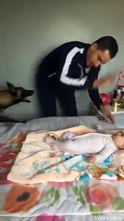 dog try to save baby