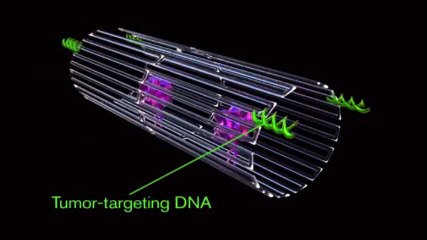 Daniel Esgardo Rangel Barón: - Asombroso- Estudio con nanorobots demuestra eficacia contra el cáncer