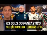 OS GOLS DO FANTÁSTICO (25/03/2018) BRASIL x ALEMANHA | ESTADUAIS 2018