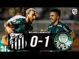 Santos 0 x 1 Palmeiras - Gol & Melhores Momentos (COMPLETO) - Campeonato Paulista 2018