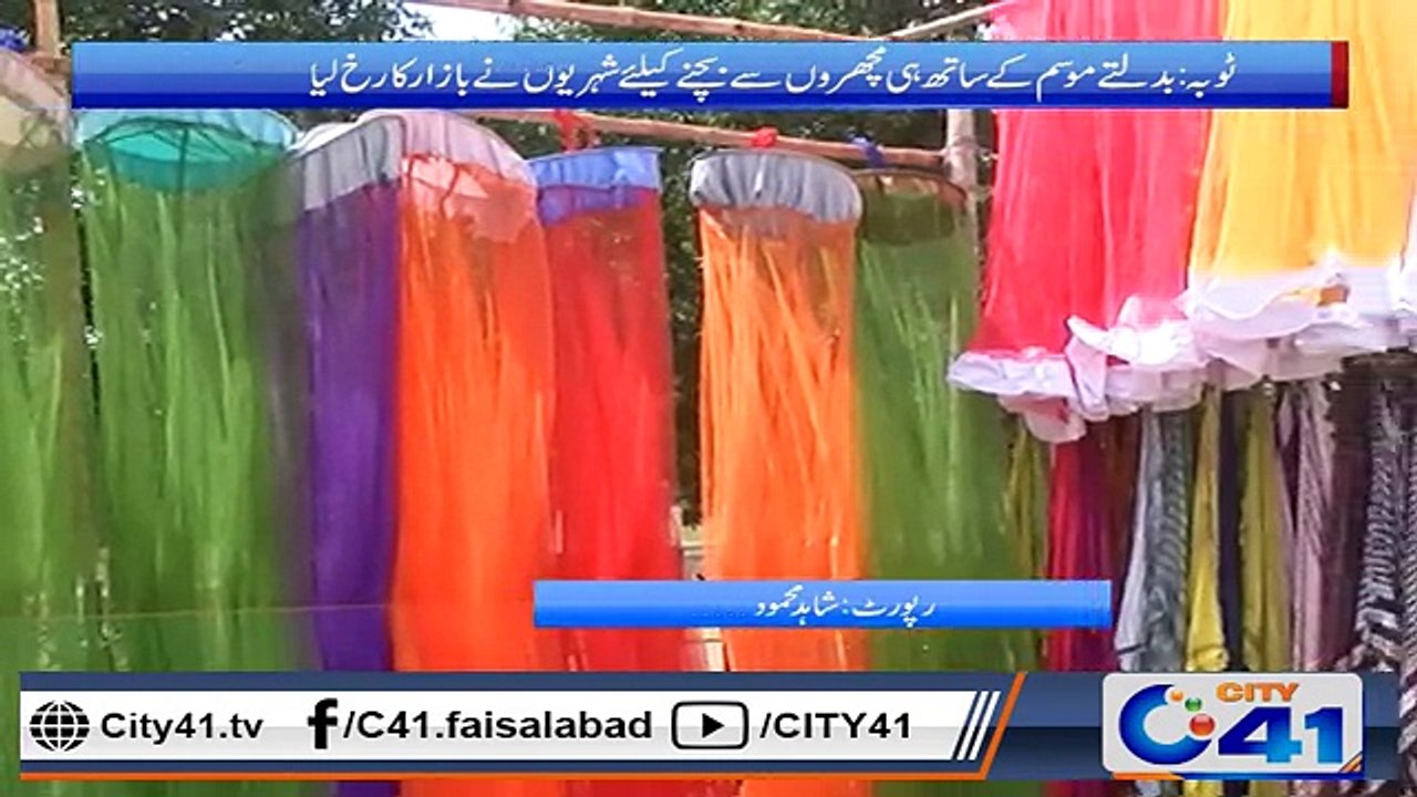 ٹوبہ ٹیک سنگھ میں بدلتے موسم کے ساتھ ہی مچھروں نے شہریوں کو ستانا شروع کردیا ۔ ۔ ۔