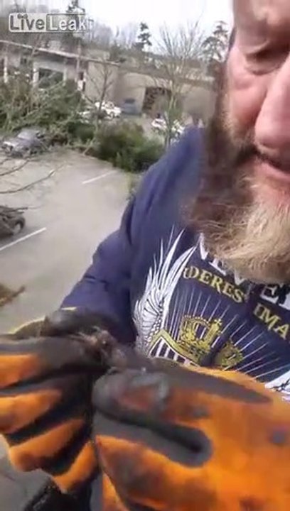 Ce gars va avaler une grosse araignée... Miam miam