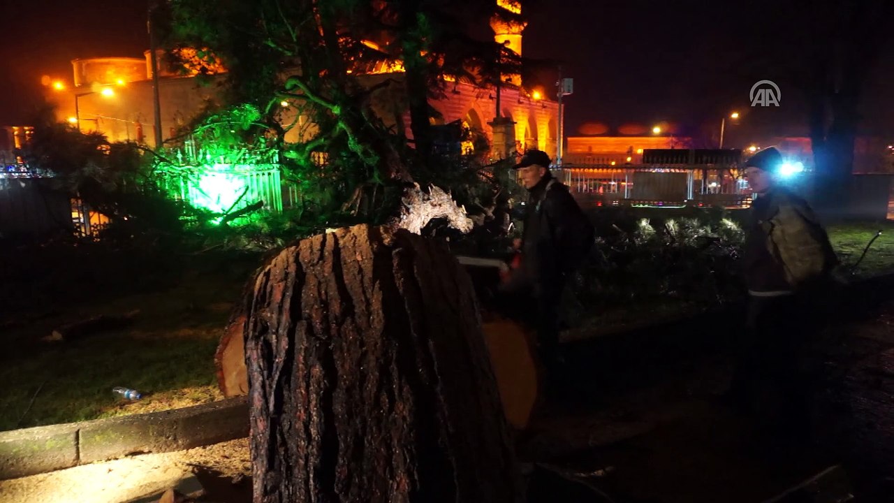 Sağanak etkili olmaya devam ediyor - 15 metrelik çam ağacı devrildi - EDİRNE