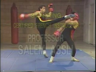 Mastering Savate 6 - Advanced Offensive Kicking and Fighting technique vol 1