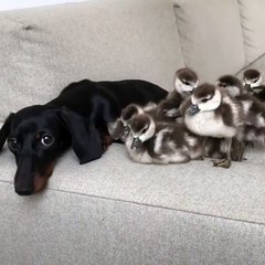 What Is Sweetness? Understanding Its Meaning and Significance 🍬