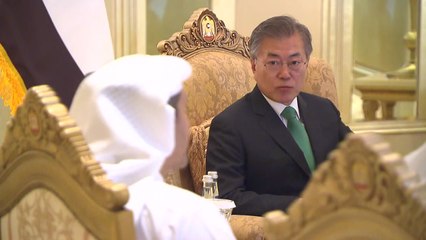 UAE, '250억 달러' 석유·가스 부문 협력 제안·원전 수주도 지원 / YTN