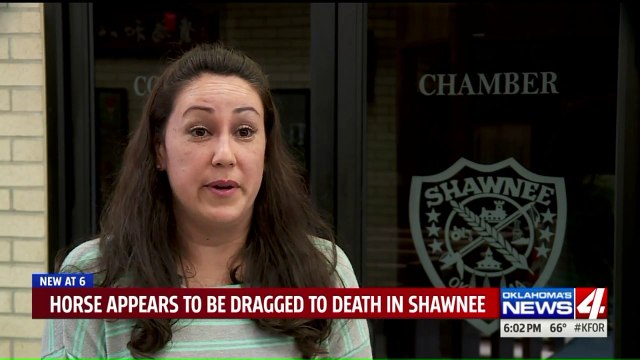 Gruesome Discovery Along Oklahoma Highway Prompts Animal Abuse Investigation