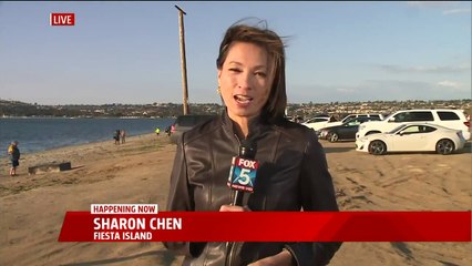 Tugboat Tows Dead Whale Along San Diego Coast