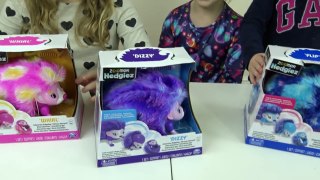 NEW ZOOMER HEDGIEZ | FUN TOYS VIDEOS FOR KIDS | THE DISNEY TOY COLLECTOR