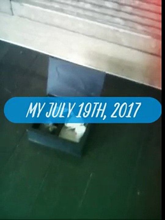 My July 19th 2017