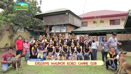 ALAGANG MAGALING S9 EP5 - PET OPTION