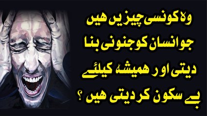 Wo Kon C Cheezain Hain Jo Insan Ko Junooni Bana Deti Hain