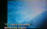 Orca (1977) - VHSRip - Rychlodabing (5.verze)