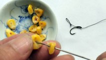 How to Corn Hanging On Carp Hair Rig - DIY Fishing Tips - Cách Treo Hạt Ngô Ngoài Móc