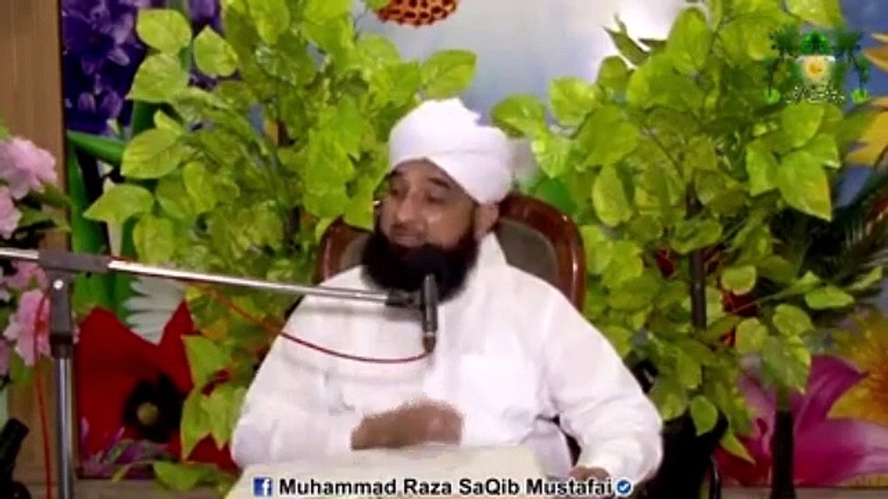 Muhammad Raza Saqib Mustafai (101)