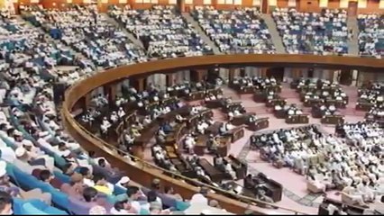 Muhammad Raza Saqib Mustafai (105)