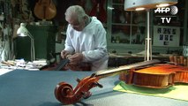 Portugals berühmteste Geigenbauerdynastie vor dem Ende