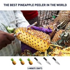 The best pineapple peeler in the world. Credit: Foodkart Channel, youtube.com/foodkart