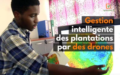 Côte d’Ivoire : Gestion intelligente des plantations par des drones