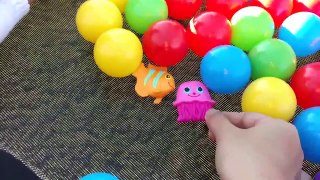 Kids Playing Bouncing in Trampoline- Bouncy Balls,Learn COLORS,Scary SPIDER-Sea Animal TOYS