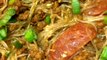 香港烹飪 Stir Fry Noodle with Ground Pork & Chinese Sausage ( bean thread vermicelli )